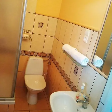 Sawik Dziekanowice Lednogora